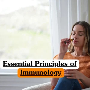 Theoretical biological sciences and holistic wellness training banner featuring a young woman with her eyes closed, seated comfortably by a large window.