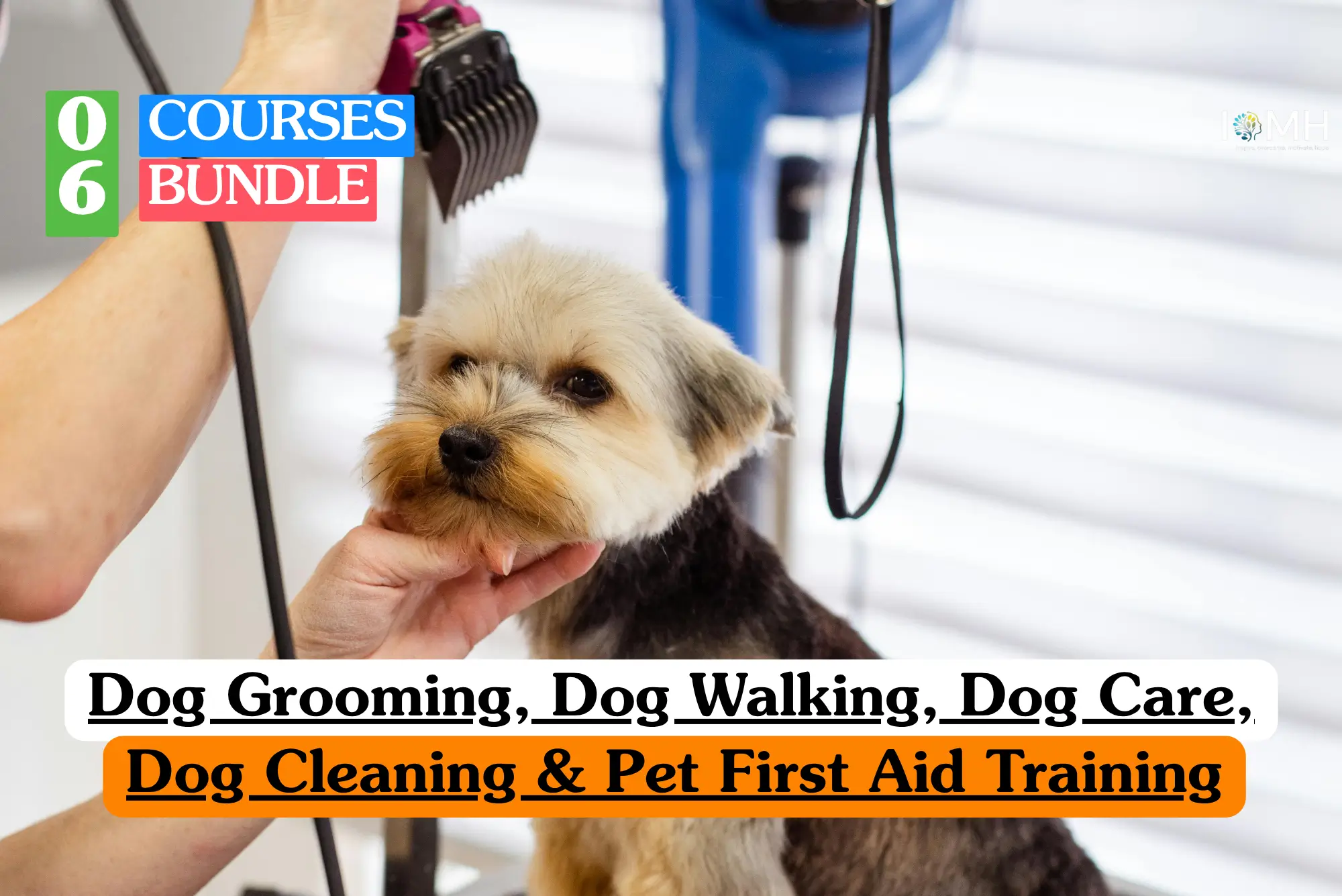 Dog Cleaning & Pet First Aid Training